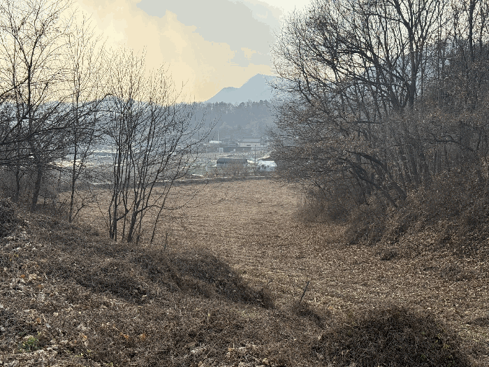 충청북도 음성군 원남면 보룡리 42-5 외 6필지 동물및식물관련시설 경매 사진 31