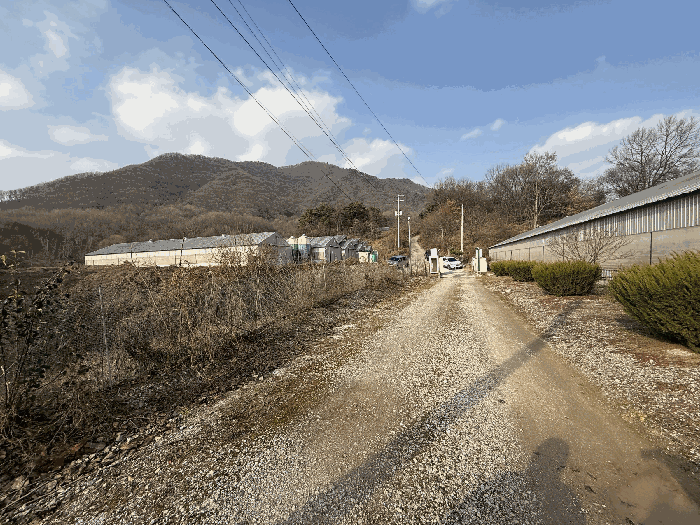충청북도 음성군 원남면 보룡리 42-5 외 6필지 동물및식물관련시설 경매 사진 42