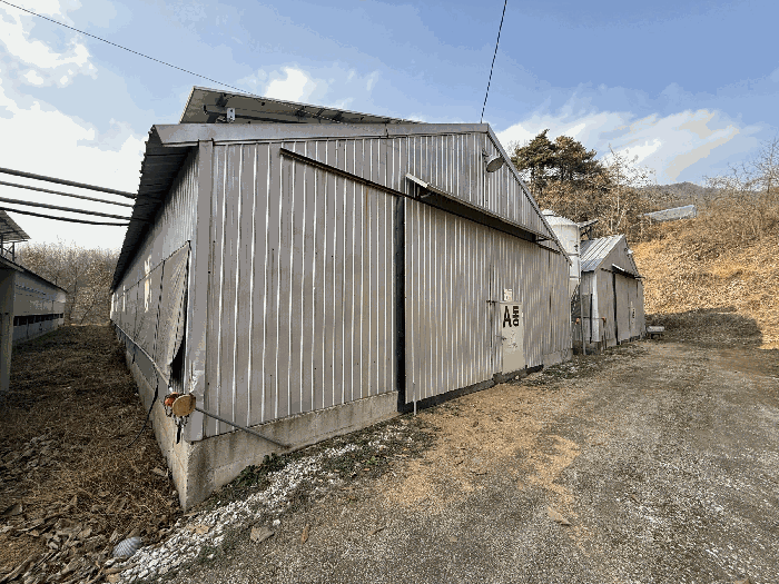 충청북도 음성군 원남면 보룡리 42-5 외 6필지 동물및식물관련시설 경매 사진 52