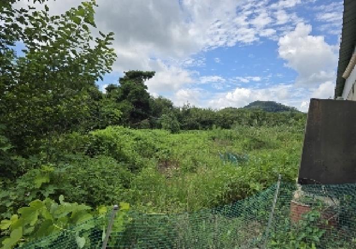 충청북도 음성군 원남면 보룡리 42-5 외 6필지 동물및식물관련시설 경매 사진 7