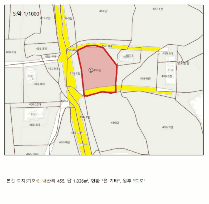 충청북도 음성군 대소면 내산리 455 전답 경매 사진 14