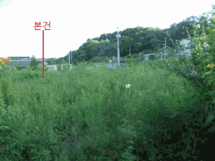 충청북도 음성군 대소면 내산리 455 전답 경매 사진 4