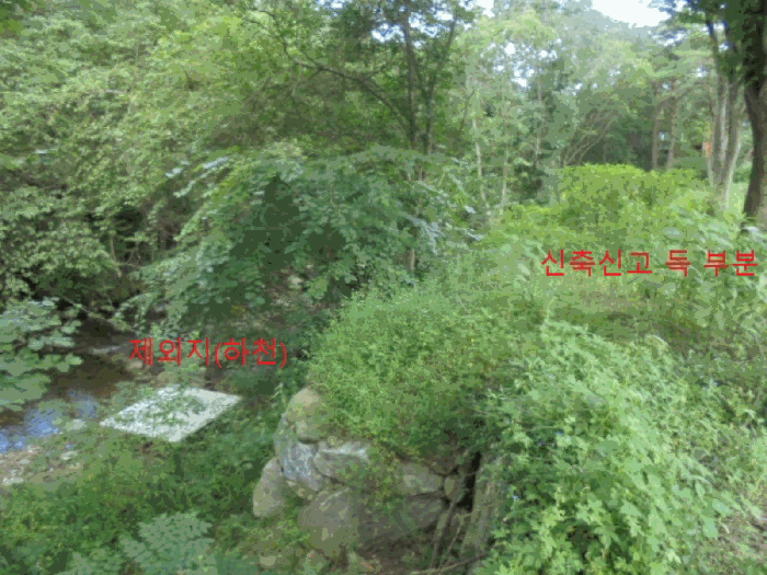충청북도 제천시 백운면 덕동리 275-8 임야 경매 사진 36