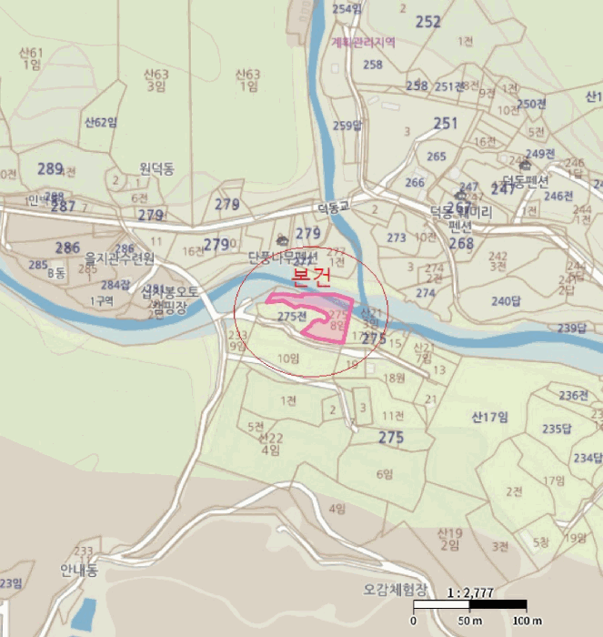 충청북도 제천시 백운면 덕동리 275-8 임야 경매 사진 42