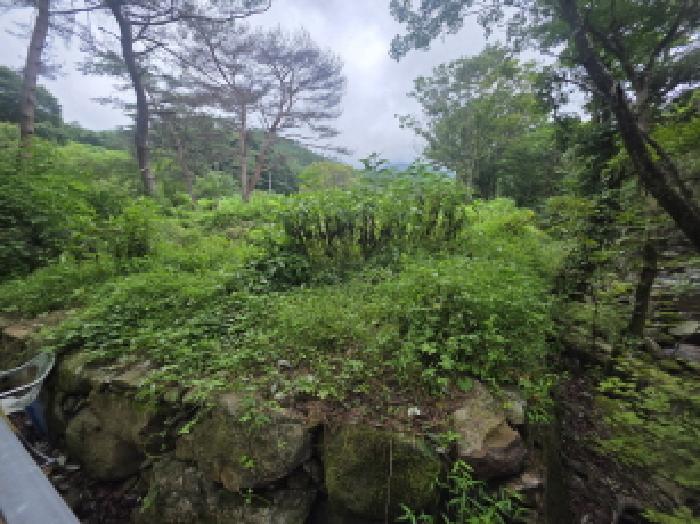 충청북도 제천시 백운면 덕동리 275-8 임야 경매 사진 27