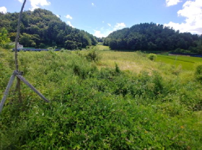 충청남도 금산군 제원면 천내리 915 외 1필지 답 경매 사진 12