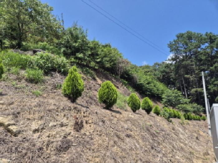 세종특별자치시 금남면 달전리 123 대지 경매 사진 29