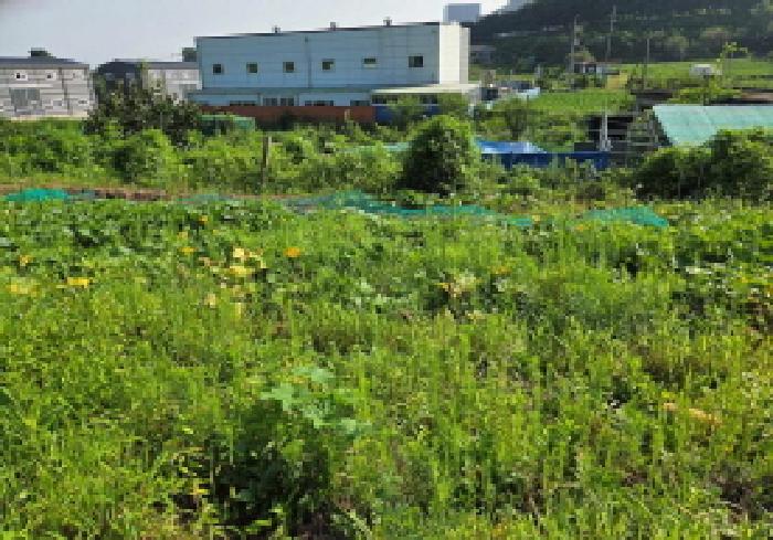 충청남도 천안시 서북구 성거읍 오색당리 33-1 외 2필지 전 경매 사진 18