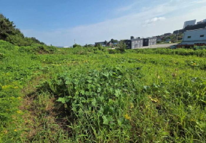 충청남도 천안시 서북구 성거읍 오색당리 33-1 외 2필지 전 경매 사진 8