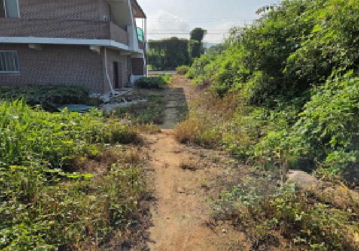 충청남도 천안시 서북구 성거읍 오색당리 33-1 외 2필지 전 경매 사진 9