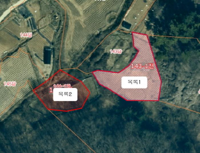 충청남도 천안시 서북구 신당동 143-1 전 경매 사진 12