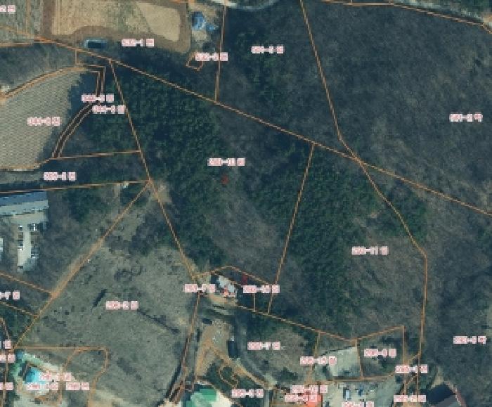 충청남도 태안군 태안읍 장산리 293-7 외 2필지 임야 경매 사진 11