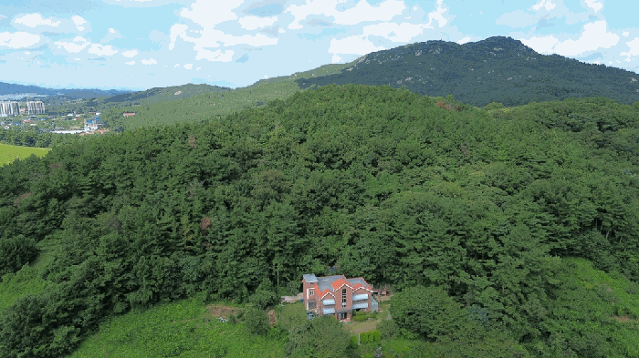 충청남도 태안군 태안읍 장산리 293-7 외 2필지 임야 경매 사진 14