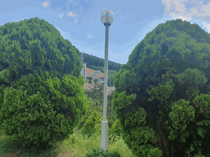 충청남도 태안군 태안읍 장산리 293-7 외 2필지 임야 경매 사진 16