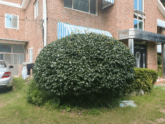 충청남도 태안군 태안읍 장산리 293-7 외 2필지 임야 경매 사진 21