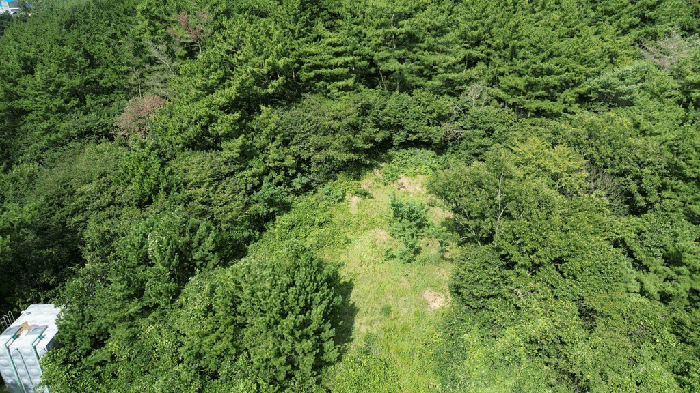 충청남도 태안군 태안읍 장산리 293-7 외 2필지 임야 경매 사진 22