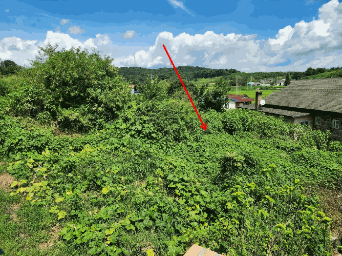 충청남도 당진시 송악읍 반촌리 177 외 7필지 전 경매 사진 60