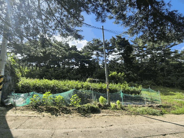 경상북도 칠곡군 동명면 득명리 286-28 외 2필지 임야 경매 사진 7