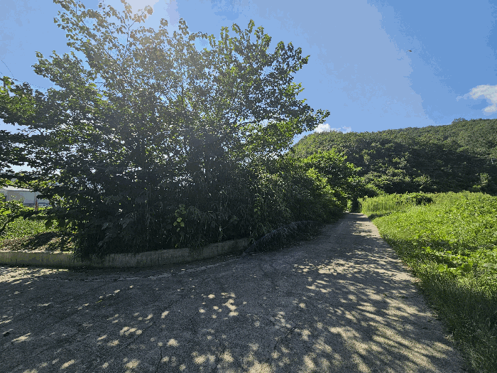 경상북도 경주시 현곡면 무과리 산37-1 외 1필지 임야 경매 사진 4