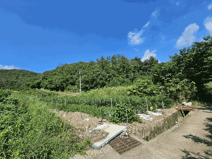 경상북도 경주시 현곡면 무과리 산37-1 외 1필지 임야 경매 사진 5