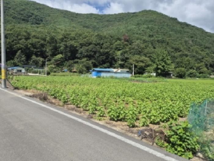 경상북도 경주시 산내면 신원리 747 외 5필지 답 경매 사진 1