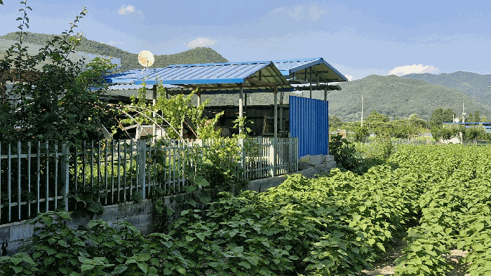 경상북도 경주시 산내면 신원리 747 외 5필지 답 경매 사진 8