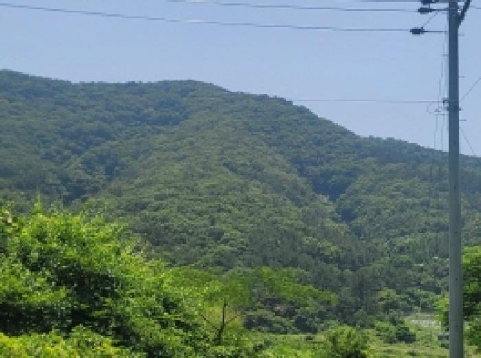 경상남도 통영시 사량면 읍덕리 산37 임야 경매 사진 1