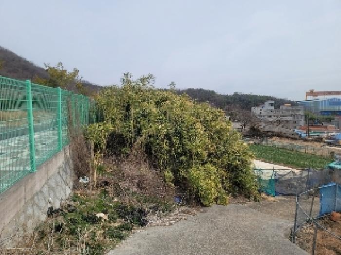 경상남도 통영시 광도면 황리 689-3 전 경매 사진 1