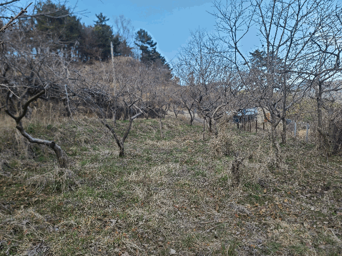 경상남도 통영시 도산면 오륜리 260-1 외 1필지 답 경매 사진 12