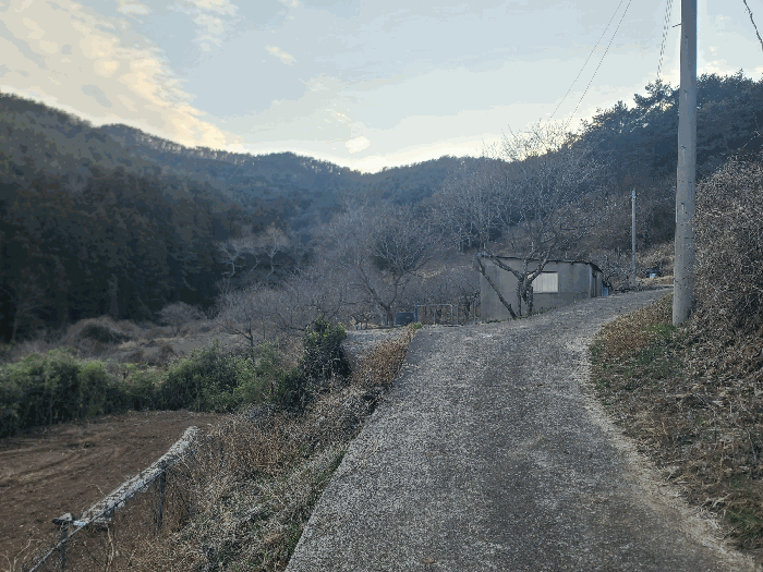 경상남도 통영시 도산면 오륜리 260-1 외 1필지 답 경매 사진 14