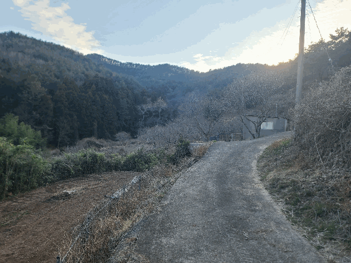 경상남도 통영시 도산면 오륜리 260-1 외 1필지 답 경매 사진 10