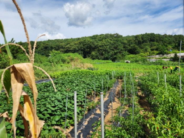 경기도 양주시 산북동 산9-5 외 2필지 임야 경매 사진 2