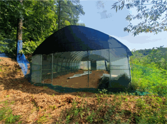 경기도 양주시 산북동 산9-5 외 2필지 임야 경매 사진 11