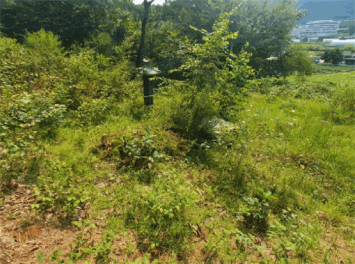 경기도 양주시 산북동 산9-5 외 2필지 임야 경매 사진 12