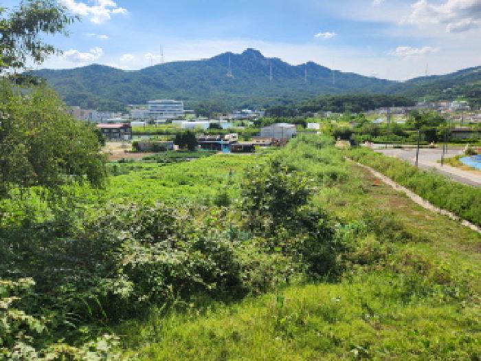 경기도 양주시 산북동 산9-5 외 2필지 임야 경매 사진 3