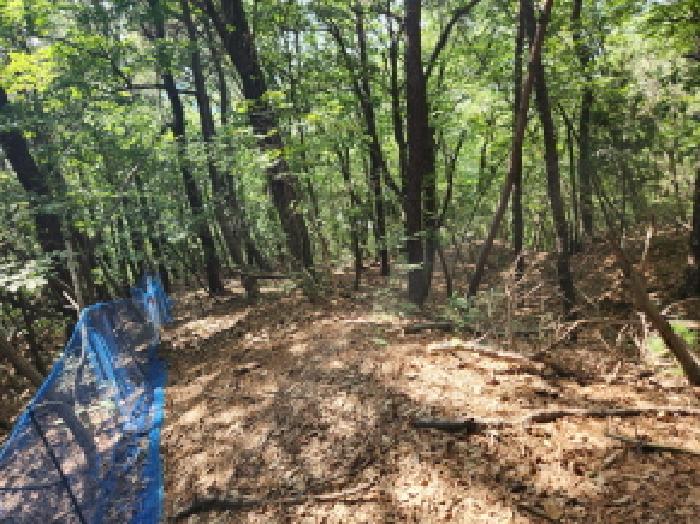 경기도 양주시 산북동 산9-5 외 2필지 임야 경매 사진 6