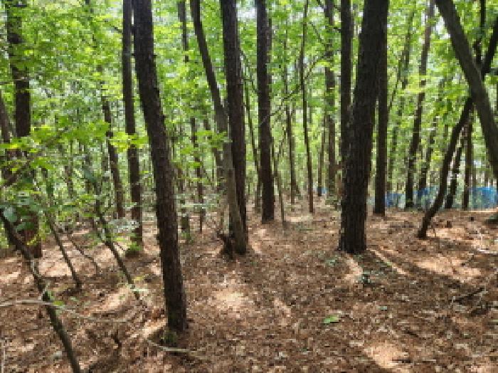 경기도 양주시 산북동 산9-5 외 2필지 임야 경매 사진 7