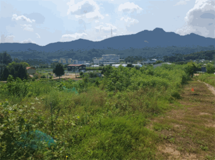 경기도 양주시 산북동 산9-5 외 2필지 임야 경매 사진 10