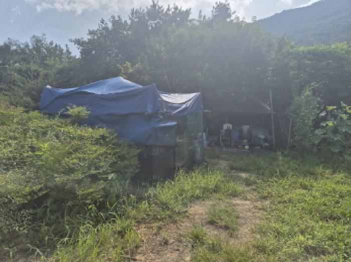 대전광역시 유성구 계산동 319-11 외 2필지 전 경매 사진 1