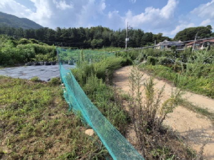 대전광역시 유성구 계산동 319-11 외 2필지 전 경매 사진 14