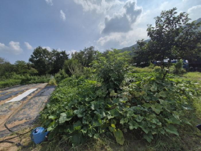 대전광역시 유성구 계산동 319-11 외 2필지 전 경매 사진 22