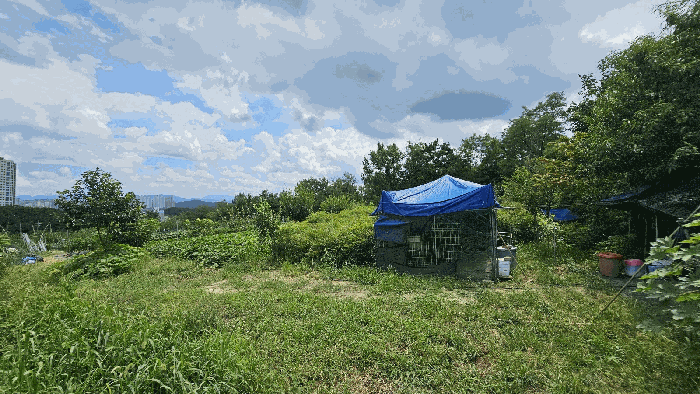 대전광역시 유성구 계산동 319-11 외 2필지 전 경매 사진 29