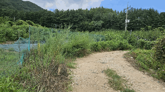 대전광역시 유성구 계산동 319-11 외 2필지 전 경매 사진 30