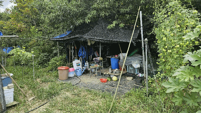 대전광역시 유성구 계산동 319-11 외 2필지 전 경매 사진 31