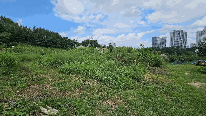대전광역시 유성구 계산동 319-11 외 2필지 전 경매 사진 35