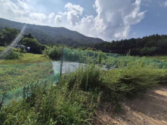 대전광역시 유성구 계산동 319-11 외 2필지 전 경매 사진 6