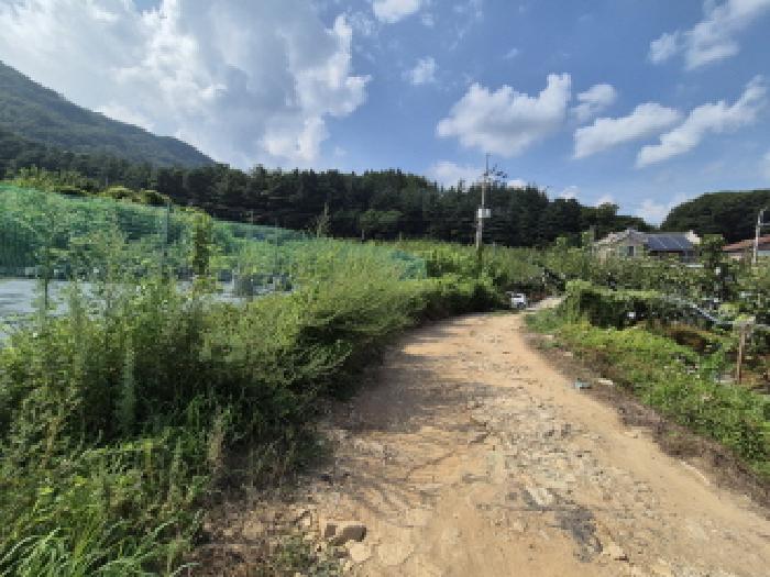대전광역시 유성구 계산동 319-11 외 2필지 전 경매 사진 7