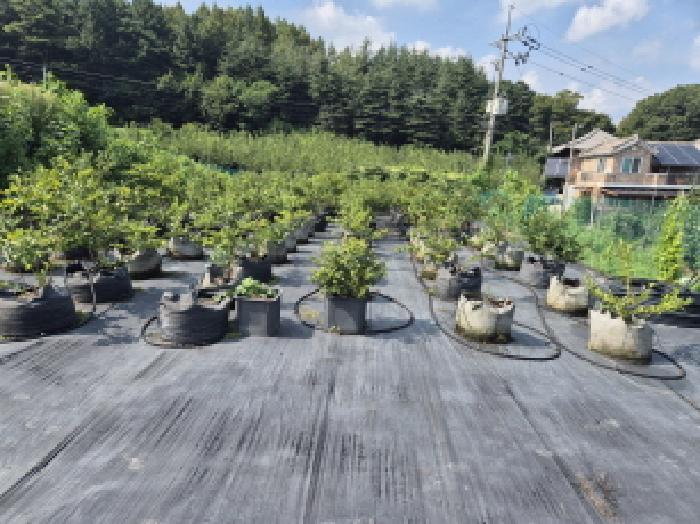 대전광역시 유성구 계산동 319-11 외 2필지 전 경매 사진 10