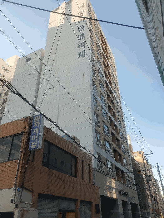 부산광역시 사하구 하단동 888-9 남영아트펠리체 3층301호 외 2필지 도시형생활주택 경매 사진 6