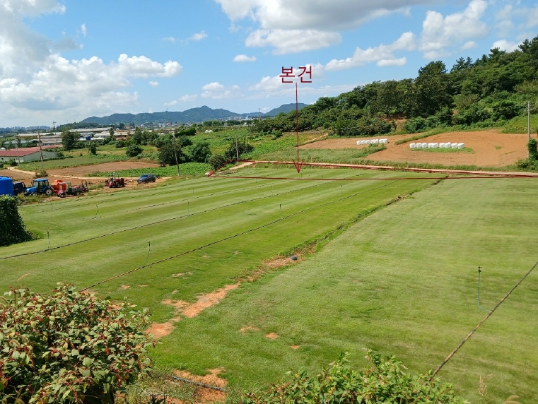 전라남도 무안군 일로읍 용산리 31 전 경매 사진 23